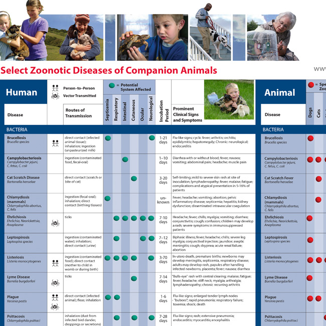 Zoonotic Disease Chart