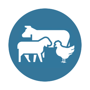 Livestock and poultry icon